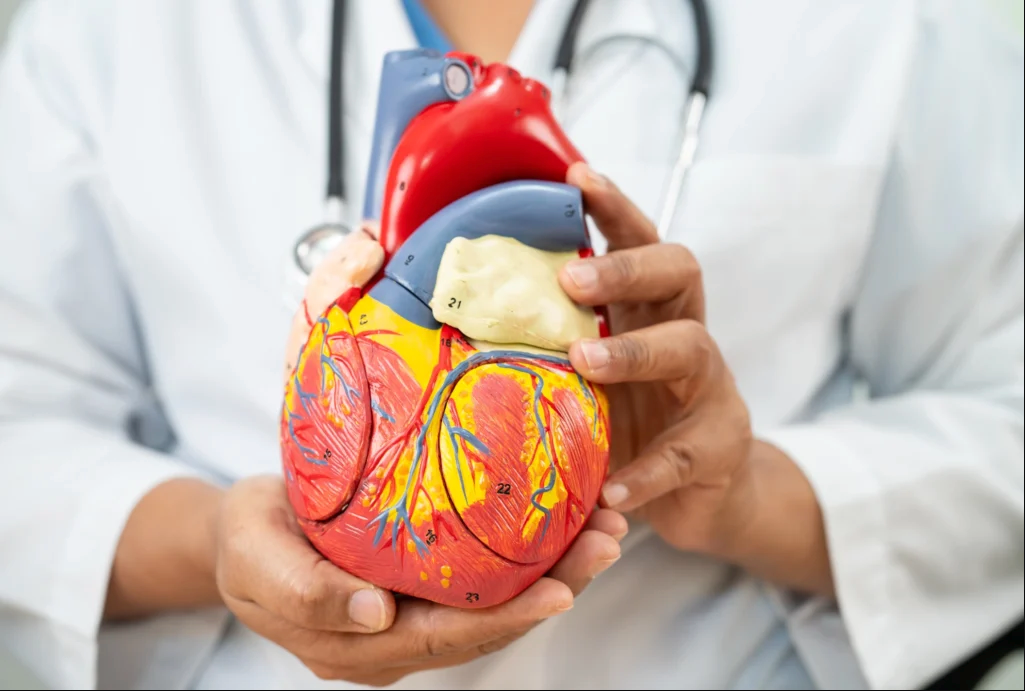 Top 10 Cardiology Doctors in Chennai